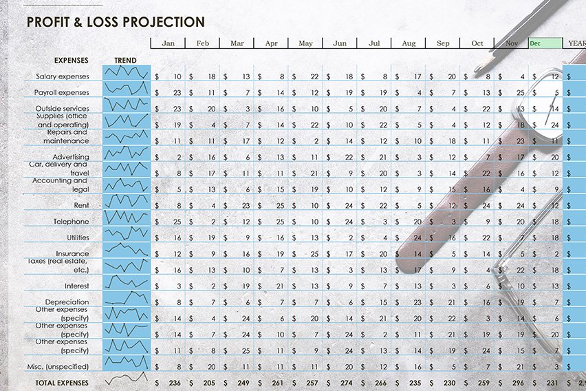 How to Make a Profit and Loss Report?